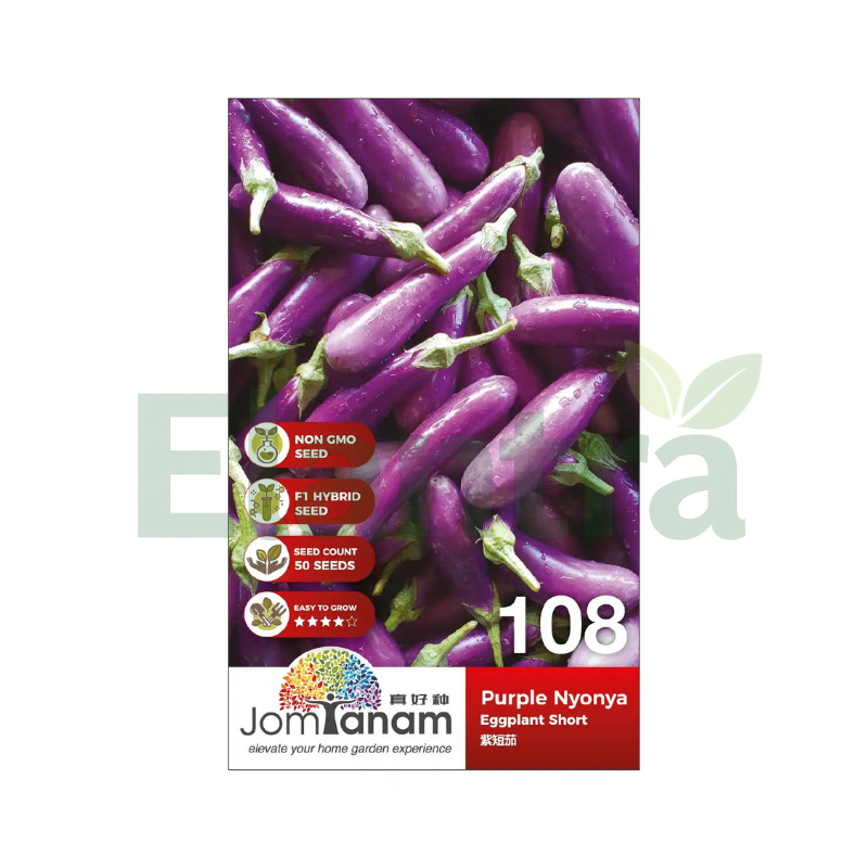 108 EGGPLANT SHORT